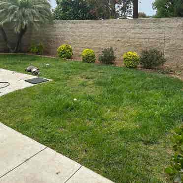 Gated
 Tustin Bdrm w shared bath