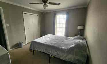 Furnished Room Available