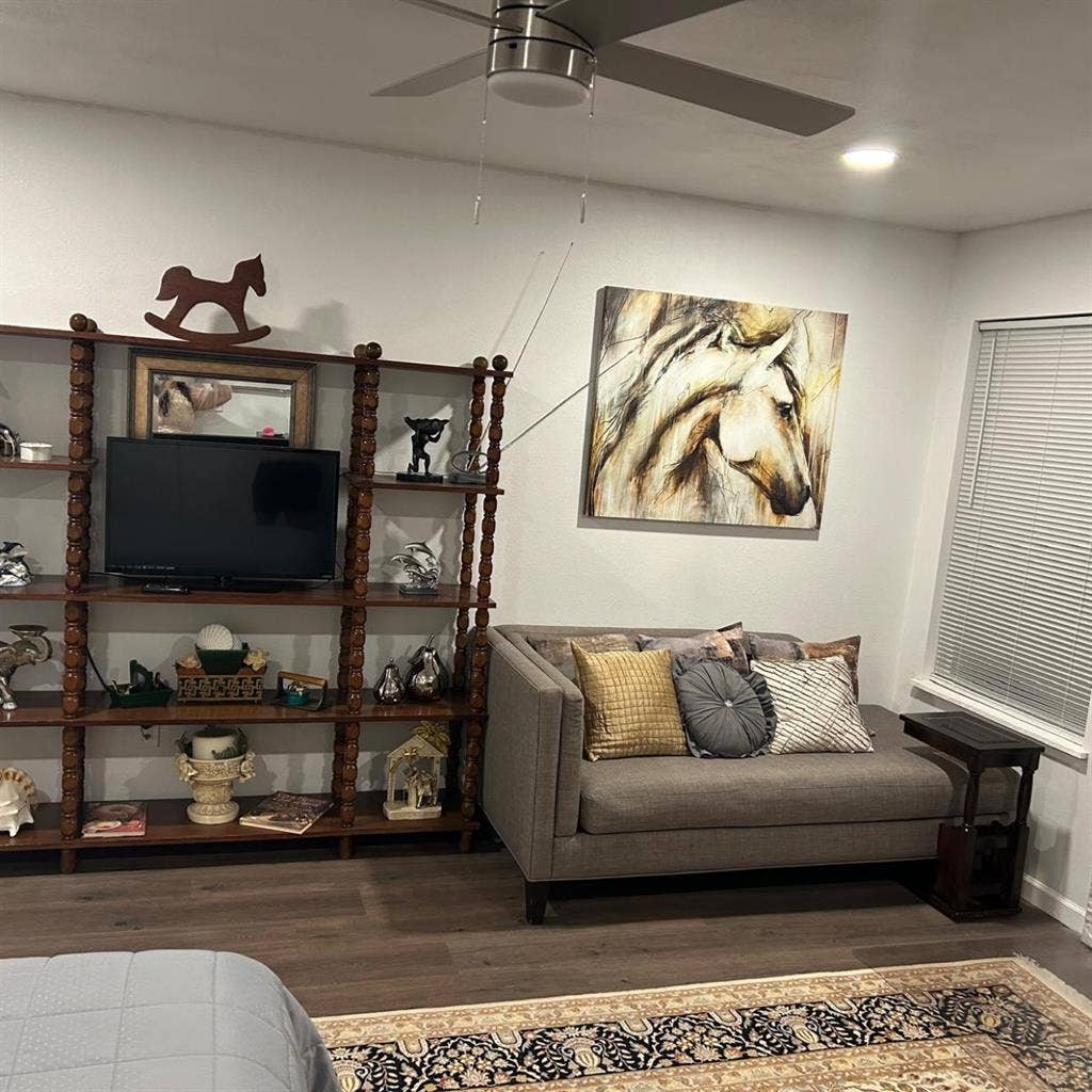 Master bedroom huge walk-in closet