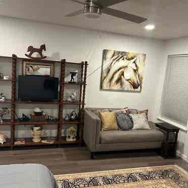 Master bedroom huge walk-in closet