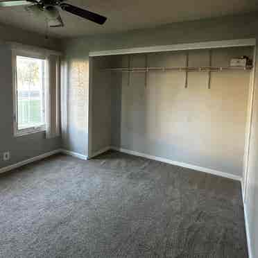 $ bedroom, shared Bath ASAP