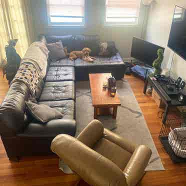 🏠 Roommate Wanted - Federal Hill