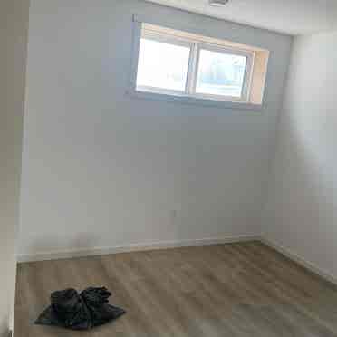 Brand new basement for rent