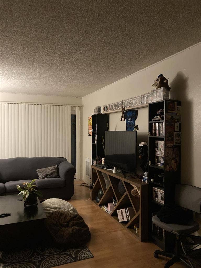 🌟 Room Available Near UC Berkeley