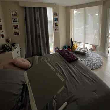 Roommate Needed in Quayside Towers