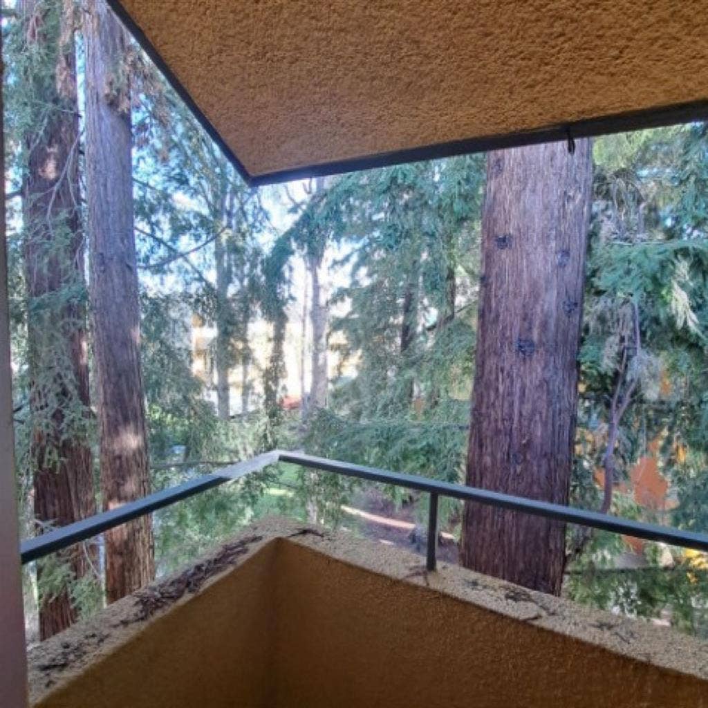 3rd Roomie Wanted-mtn view