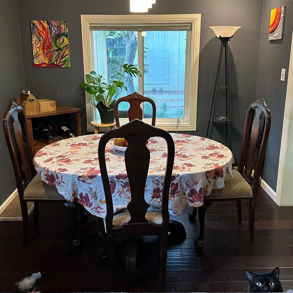 Roommate Needed in Noho!