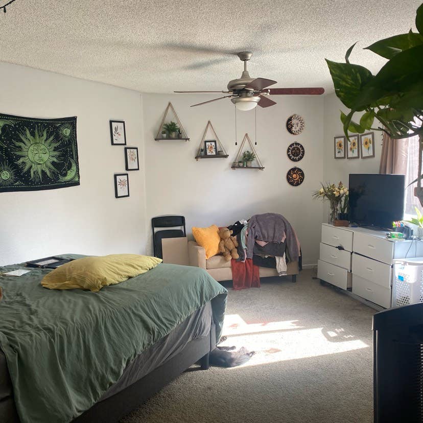 Short term roommate needed