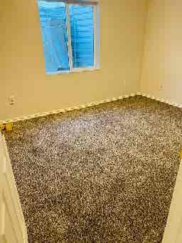 Two Bedroom Basement Apartment