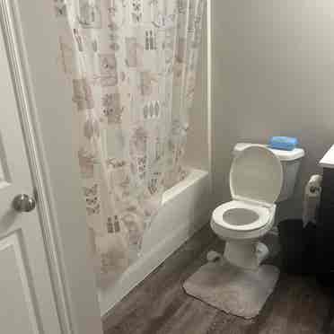 Looking for roommate