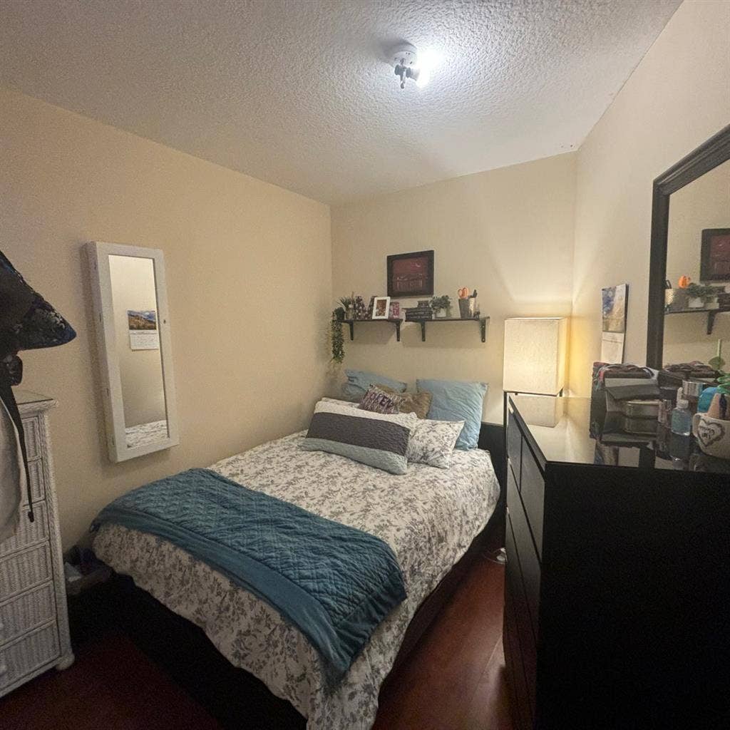 Looking for roommate!