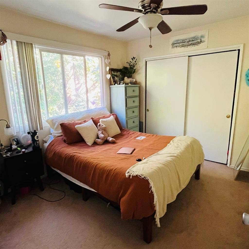 Charming Room in Cute Apartment