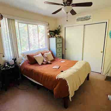 Charming Room in Cute Apartment