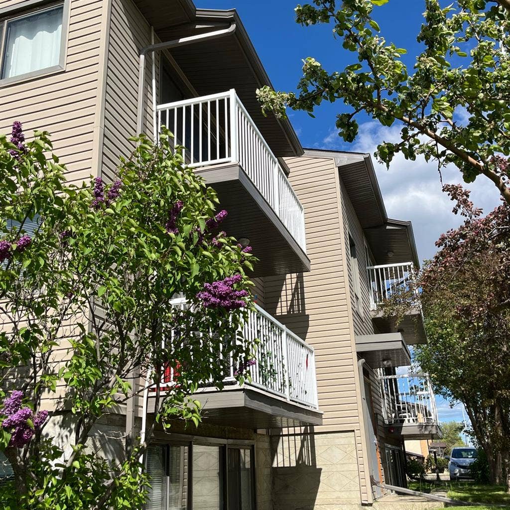 1 bed apartment in west Edmonton