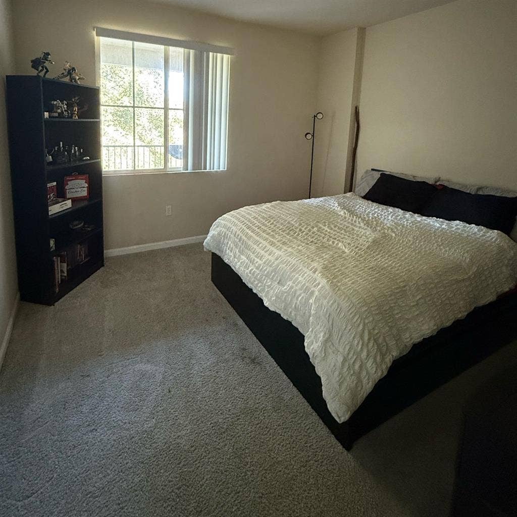 Room + Bathroom in San Ramon $