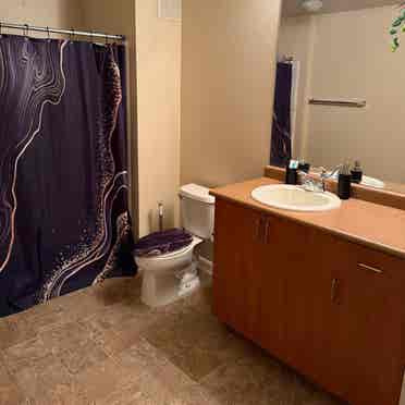 Room + Bathroom in San Ramon $