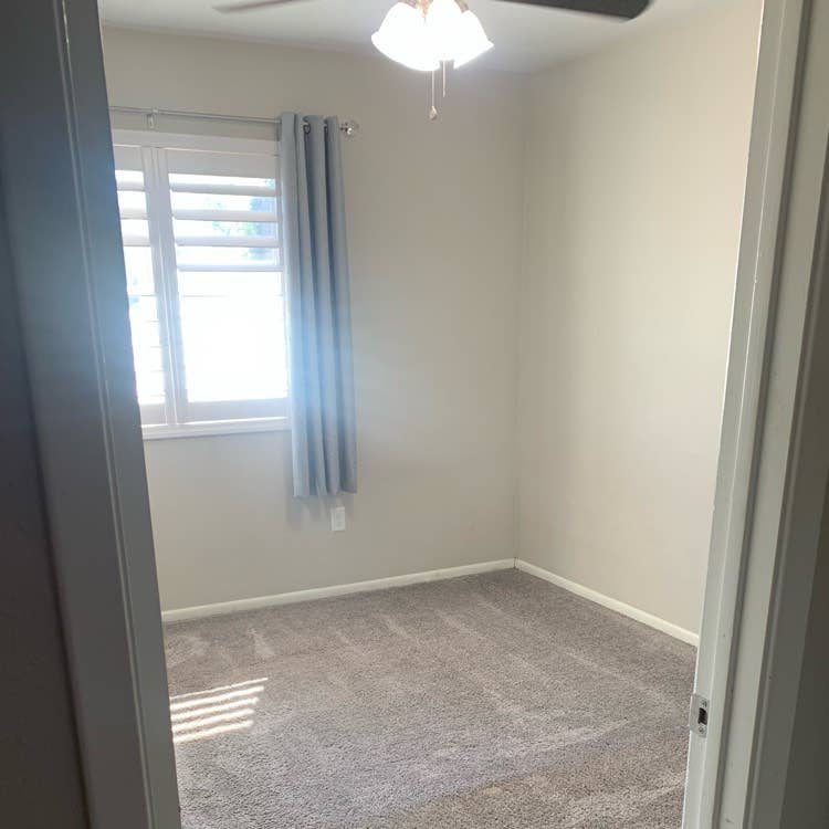 Room in Tempe for rent