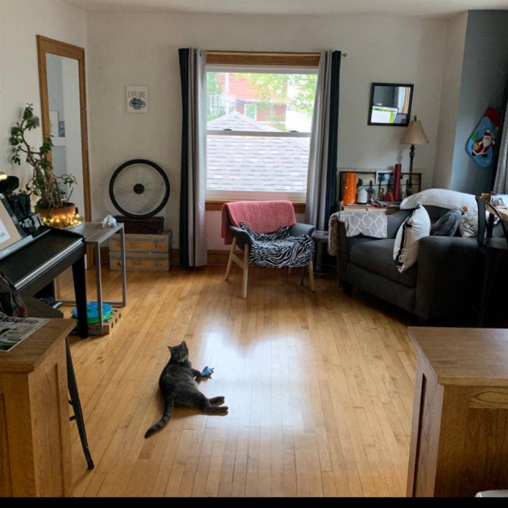 Searching for roommate