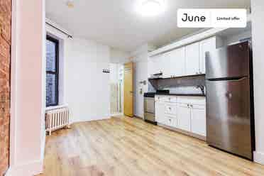 1 BR in New York City