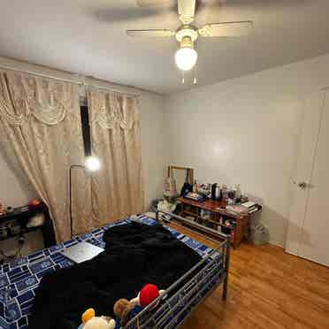 Accomodation for a Girl- NorthYork