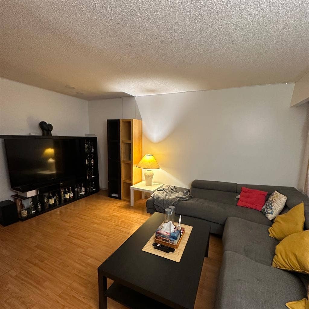 Accomodation for a Girl- NorthYork