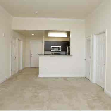 Roommate Wanted: Spacious 2BR Apt