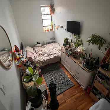 Beautiful Room | Top Floor Sunlight