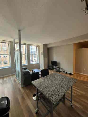 1-Bedroom Apartment in Downtown MN