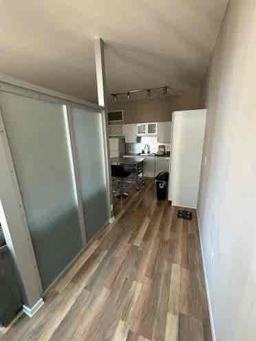 1-Bedroom Apartment in Downtown MN