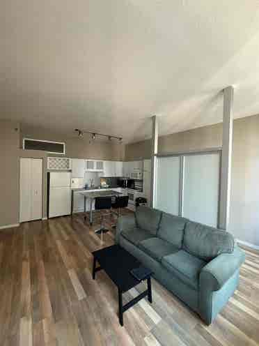 1-Bedroom Apartment in Downtown MN