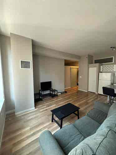 1-Bedroom Apartment in Downtown MN