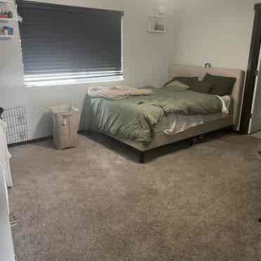 Master Bedroom for rent!