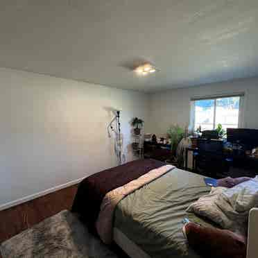 Sublease Master Bedroom in a b