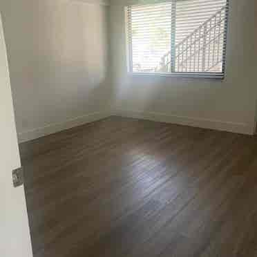 Room for rent boca raton area