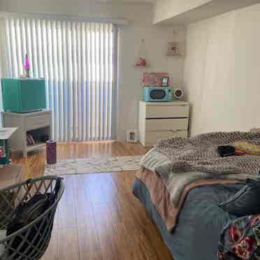 Seeking Roommate!