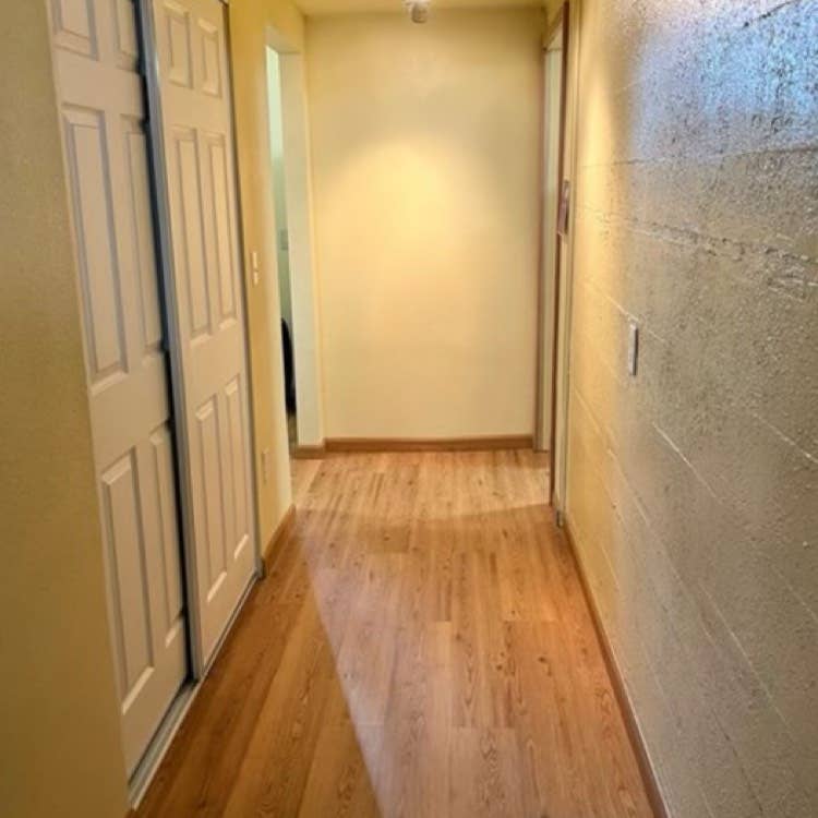 Looking for two additional roomies