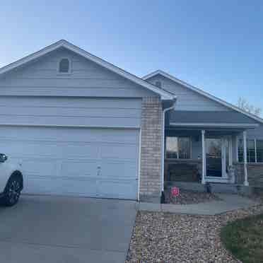 Basement  with 2 bedrooms l bath