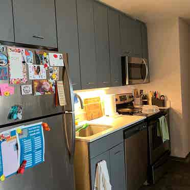 1 room for sublease ()