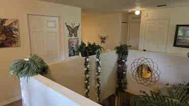 Very nice room for FEMALE ONLY
