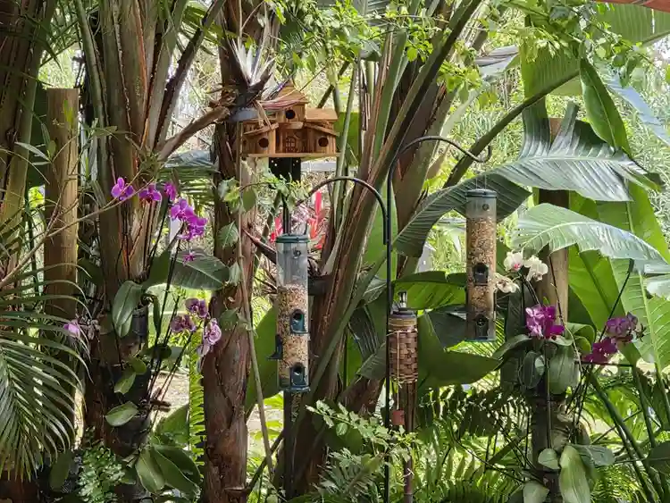 Very nice room for FEMALE ONLY