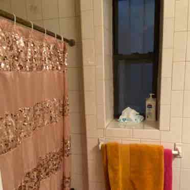 Cozy large room in Crown Heights