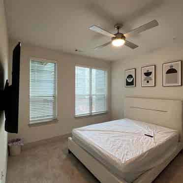 Modern one bed apart to sublease