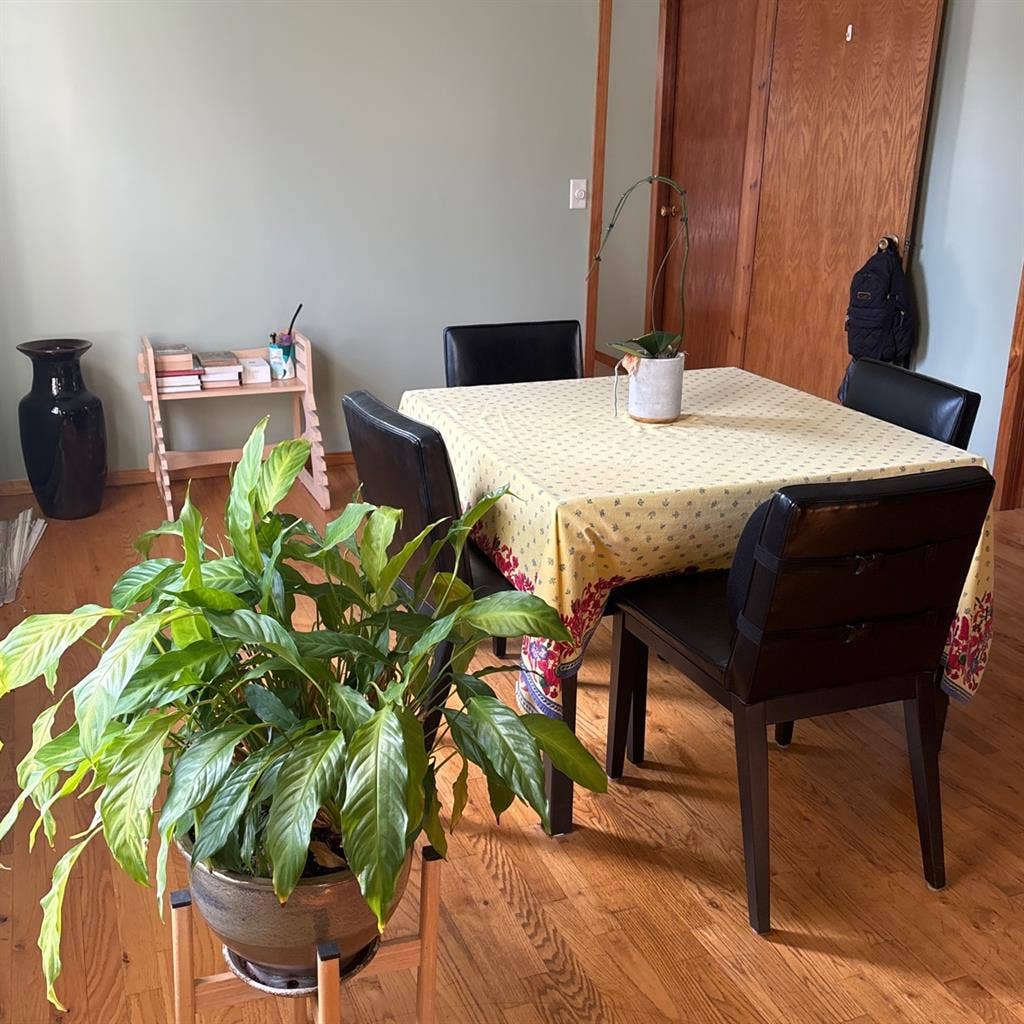 Looking for a roommate in West Town