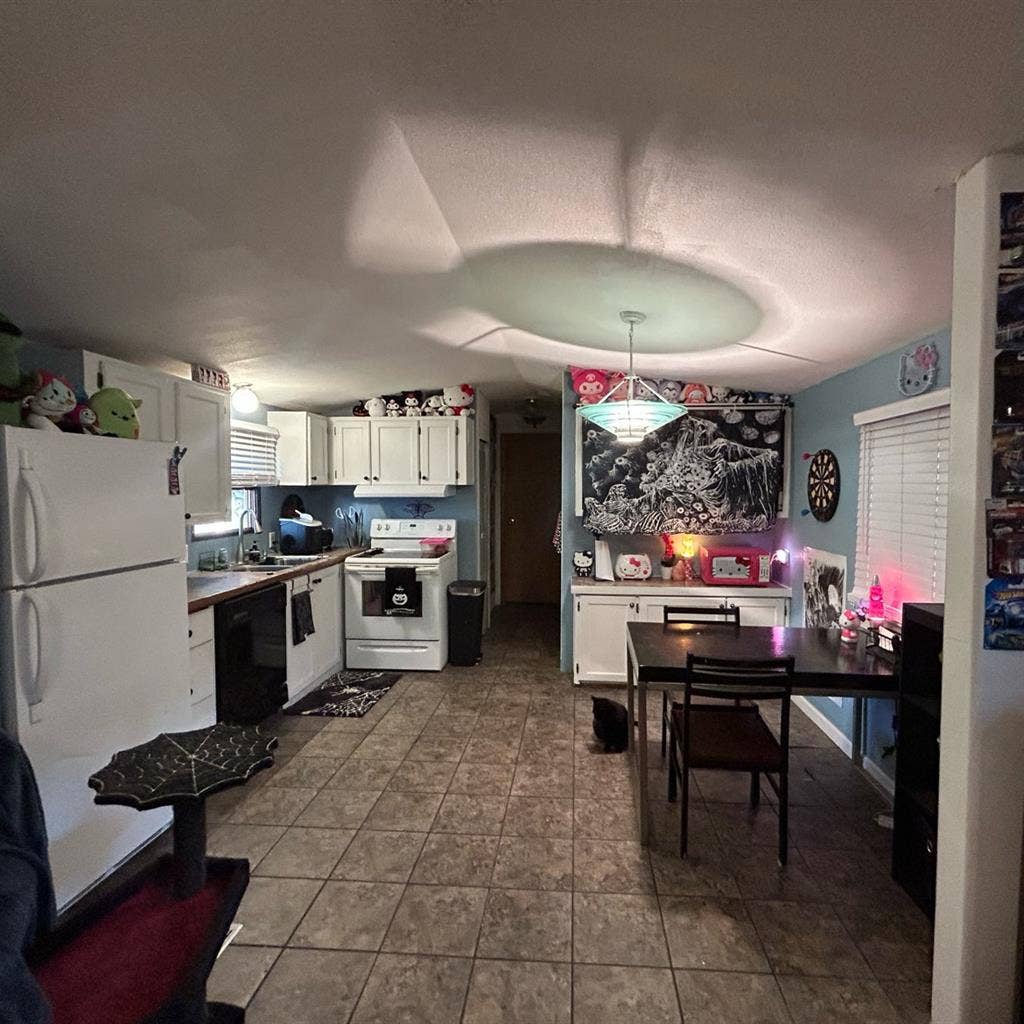 looking for a female roommate asap!