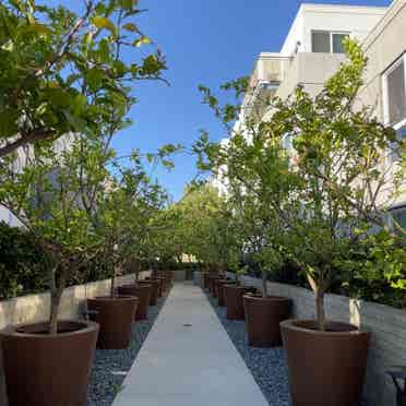 2 bed WeHo apartment