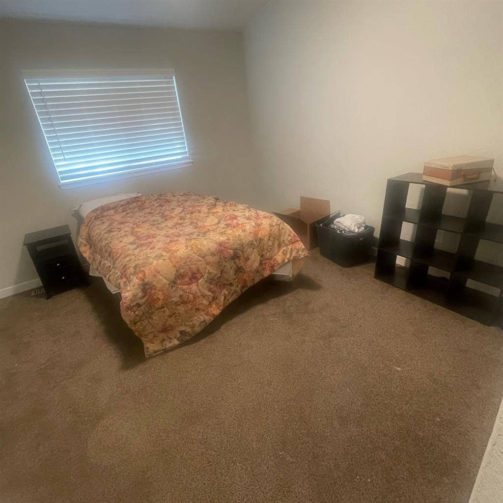 Room Available in Loveland