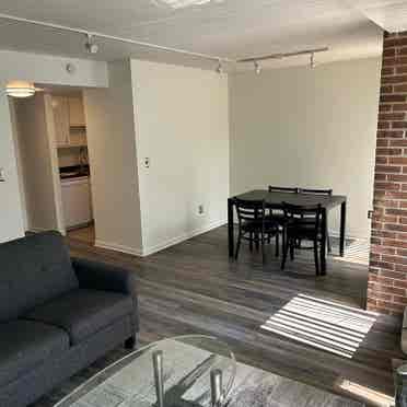 Winter semester apartment available