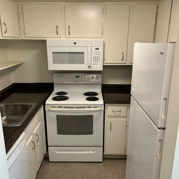 Winter semester apartment available