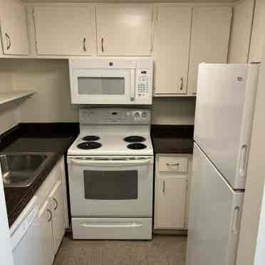 Winter semester apartment available