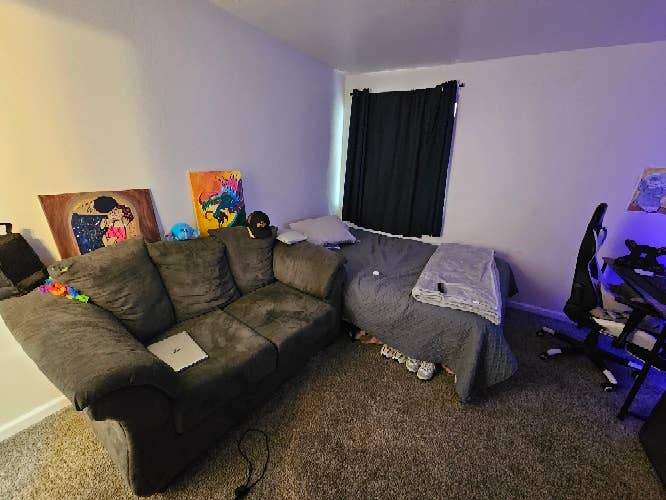 Looking for a roommate